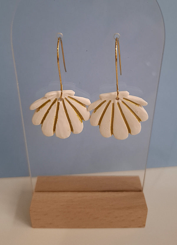 Sea Shells